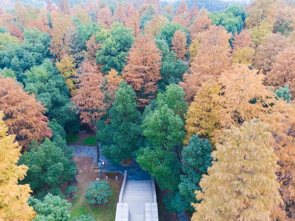 Hubei Wuhan East Lake Escenic Área Otoño Tardío Fotografía Aérea — Foto de Stock