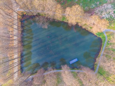 Bahar çiçekleri ve Wuhan, Hubei 'deki East Lake Plum Garden' da park manzarası.