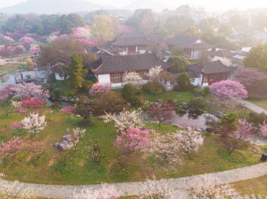 Bahar çiçekleri ve Wuhan, Hubei 'deki East Lake Plum Garden' da park manzarası.