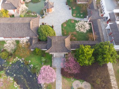 Bahar çiçekleri ve Wuhan, Hubei 'deki East Lake Plum Garden' da park manzarası.