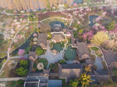 Bahar çiçekleri ve Wuhan, Hubei 'deki East Lake Plum Garden' da park manzarası.