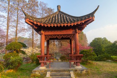 Bahar çiçekleri ve Wuhan, Hubei 'deki East Lake Plum Garden' da park manzarası.