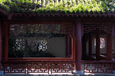 Bahar çiçekleri ve Wuhan, Hubei 'deki East Lake Plum Garden' da park manzarası.