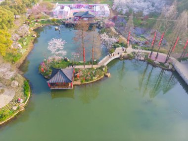 Wuhan, Hubei, Çin 'deki Doğu Gölü Kiraz Bahçesi' nin bahar manzarası.