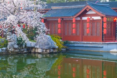 Wuhan, Hubei, Çin 'deki Doğu Gölü Kiraz Bahçesi' nin bahar manzarası.