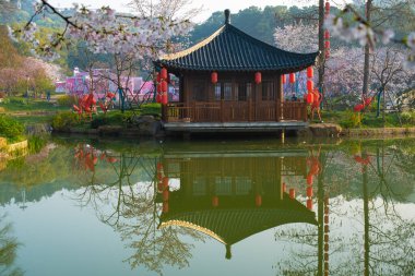 Wuhan, Hubei, Çin 'deki Doğu Gölü Kiraz Bahçesi' nin bahar manzarası.