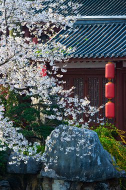 Wuhan, Hubei, Çin 'deki Doğu Gölü Kiraz Bahçesi' nin bahar manzarası.