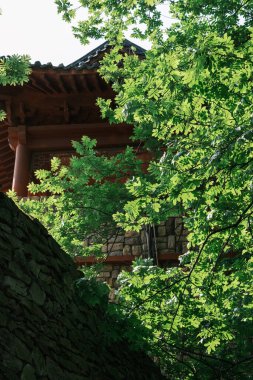 Huangpi Mulan Yunwu Dağı 'nın Wuhan, Hubei' deki bahar manzarası.