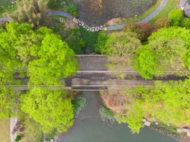 Doğu Gölü, Wuhan, Hubei, Çin 'deki Moshan Rhododendron Bahçesinin ilkbahar havası