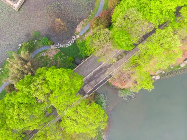 Doğu Gölü, Wuhan, Hubei, Çin 'deki Moshan Rhododendron Bahçesinin ilkbahar havası