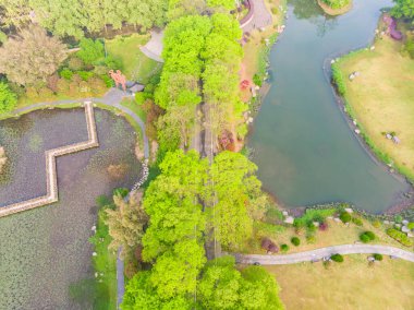 Doğu Gölü, Wuhan, Hubei, Çin 'deki Moshan Rhododendron Bahçesinin ilkbahar havası