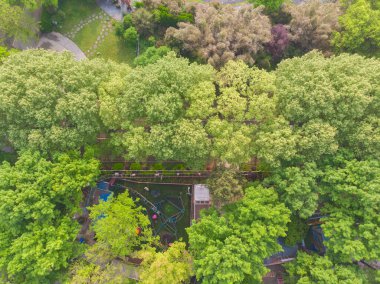 Doğu Gölü, Wuhan, Hubei, Çin 'deki Moshan Rhododendron Bahçesinin ilkbahar havası