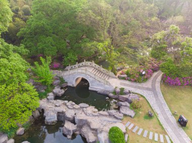 Doğu Gölü, Wuhan, Hubei, Çin 'deki Moshan Rhododendron Bahçesinin ilkbahar havası