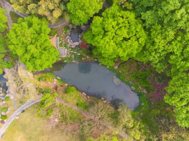 Doğu Gölü, Wuhan, Hubei, Çin 'deki Moshan Rhododendron Bahçesinin ilkbahar havası
