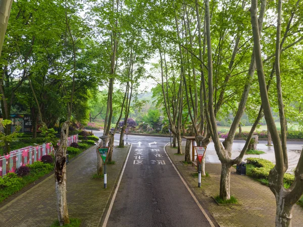 Paisagem Aérea Início Primavera Moshan Rhododendron Garden East Lake Wuhan — Fotografia de Stock