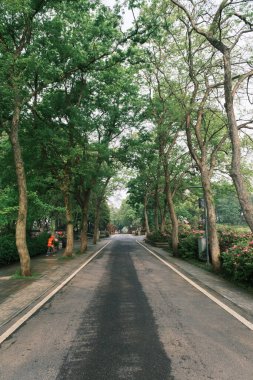 Doğu Gölü, Wuhan, Hubei, Çin 'deki Moshan Rhododendron Bahçesi' nin ilkbahar manzarası