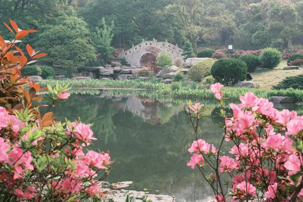 Cenário Início Primavera Moshan Rhododendron Garden East Lake Wuhan Hubei — Fotografia de Stock