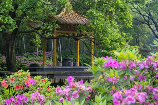 Frühlingslandschaft Des Moshan Rhododendron Garden East Lake Wuhan Hubei China — Stockfoto