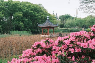 Doğu Gölü, Wuhan, Hubei 'deki Moshan Bonsai Bahçesi' nin ilk bahar manzarası