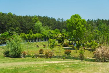 Wuhan, Hubei Eyaleti, Çin 'deki Mulan çayır manzarasının erken dönem manzarası