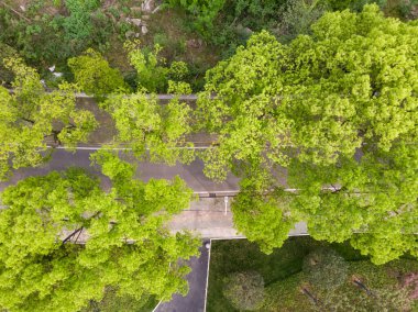 Early summer scenery of Guishan Park in Hanyang, Wuhan, Hubei, China