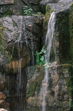 Early summer scenery of Guishan Park in Hanyang, Wuhan, Hubei, China