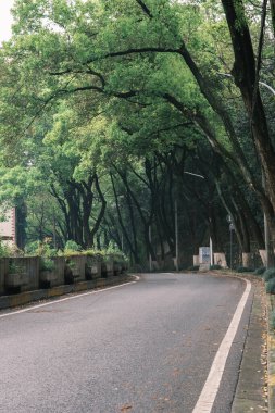 Early summer scenery of Guishan Park in Hanyang, Wuhan, Hubei, China