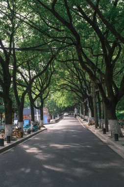 Early summer scenery of Guishan Park in Hanyang, Wuhan, Hubei, China