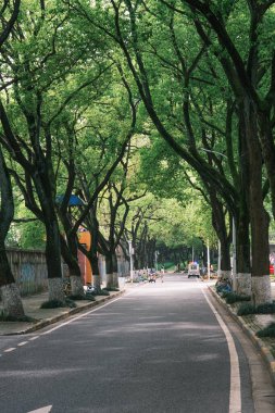 Early summer scenery of Guishan Park in Hanyang, Wuhan, Hubei, China