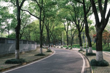 Early summer scenery of Guishan Park in Hanyang, Wuhan, Hubei, China