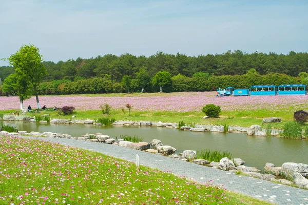 Early Summer Scenery Mulan Grassland Scenic Spot Wuhan Hubei Province — Stock Photo, Image