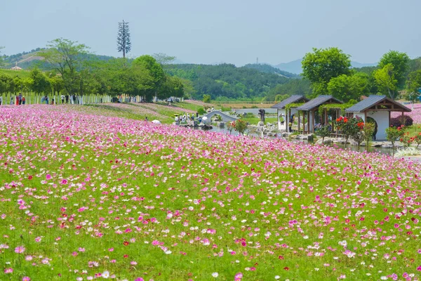 Paysage Début Été Des Prairies Mulan Endroit Pittoresque Wuhan Province — Photo