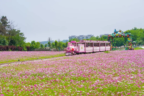 Early Summer Scenery Mulan Grassland Scenic Spot Wuhan Hubei Province — Stock Photo, Image