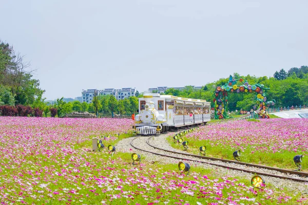 Early Summer Scenery Mulan Grassland Scenic Spot Wuhan Hubei Province — Stock Photo, Image