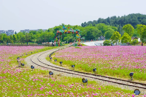 Early Summer Scenery Mulan Grassland Scenic Spot Wuhan Hubei Province — Stock Photo, Image