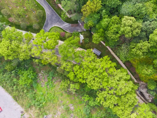 Early Summer Scenery Guishan Park Hanyang Wuhan Hubei China — Photo