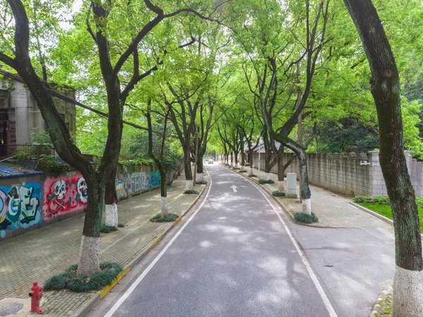 Early Summer Scenery Guishan Park Hanyang Wuhan Hubei China — Stockfoto