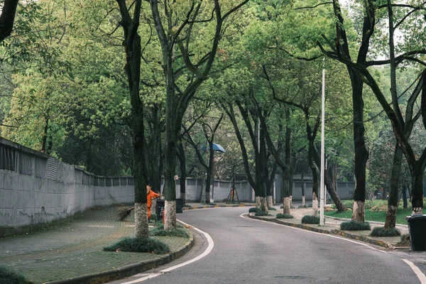 Начале Лета Пейзаж Парка Guishan Ханьяне Ухань Хубэй Китай — стоковое фото