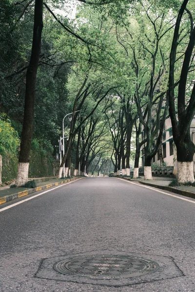 Early Summer Scenery Guishan Park Hanyang Wuhan Hubei China — Stock Photo, Image