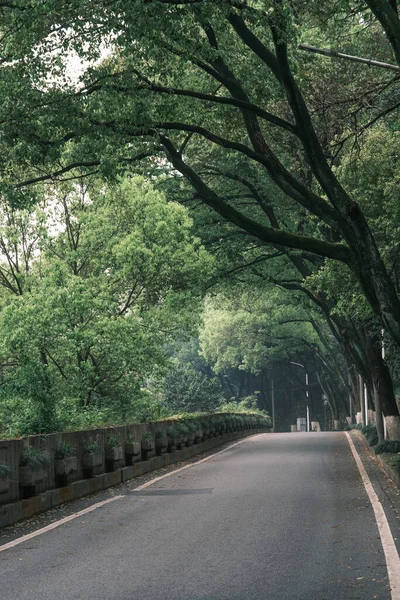 Ранні Літні Пейзажі Парку Гішань Ханьяні Вугані Хубей Чіна — стокове фото