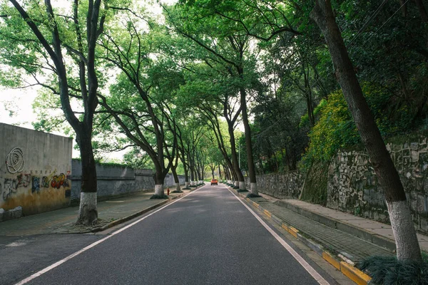 Early Summer Scenery Guishan Park Hanyang Wuhan Hubei China — Fotografia de Stock