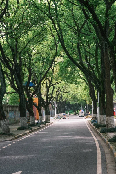 Early summer scenery of Guishan Park in Hanyang, Wuhan, Hubei, China