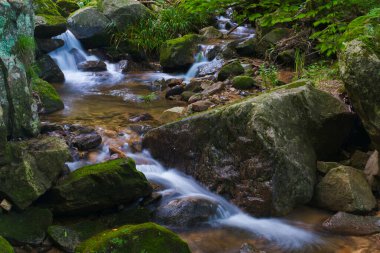 Early summer scenery of Dabie Mountain Bodao Peak Scenic Area in Luotian, Huanggang, Hubei, China