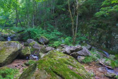 Early summer scenery of Dabie Mountain Bodao Peak Scenic Area in Luotian, Huanggang, Hubei, China