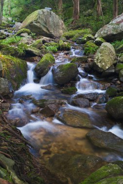Early summer scenery of Dabie Mountain Bodao Peak Scenic Area in Luotian, Huanggang, Hubei, China