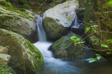 Early summer scenery of Dabie Mountain Bodao Peak Scenic Area in Luotian, Huanggang, Hubei, China