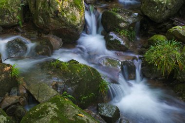 Early summer scenery of Dabie Mountain Bodao Peak Scenic Area in Luotian, Huanggang, Hubei, China