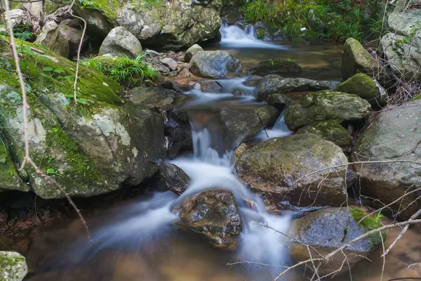 Early Summer Scenery Dabie Mountain Bodao Peak Scenic Area Luotian —  Fotos de Stock