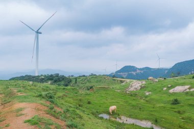 Hubei Suizhou Guangling Shui Zizhai Sahne Sahnesi Yaz Sahnesi, Çin