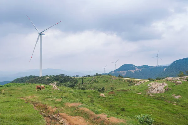 中国湖北遂州关岭水之寨风景名胜区 — 图库照片